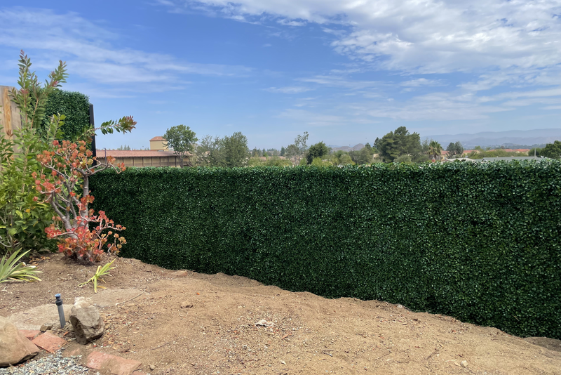 6 FAQs About Artificial Boxwood Hedges