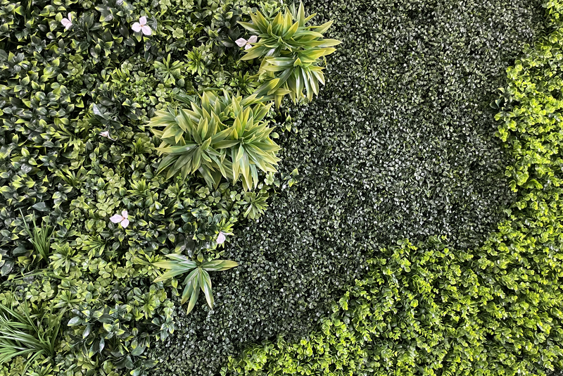 Artificial Living Wall And Artificial Moss - The Artificial Plant Shop