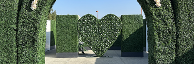 Exploring Plant Wall Rental Options