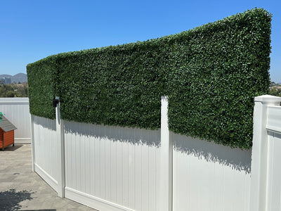 Beyond Aesthetics: Privacy and Sound Barriers with Boxwood Hedges