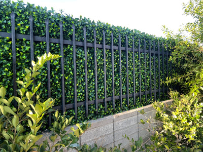 Why Should Private Schools Use Artificial Living Walls To Increase Privacy?