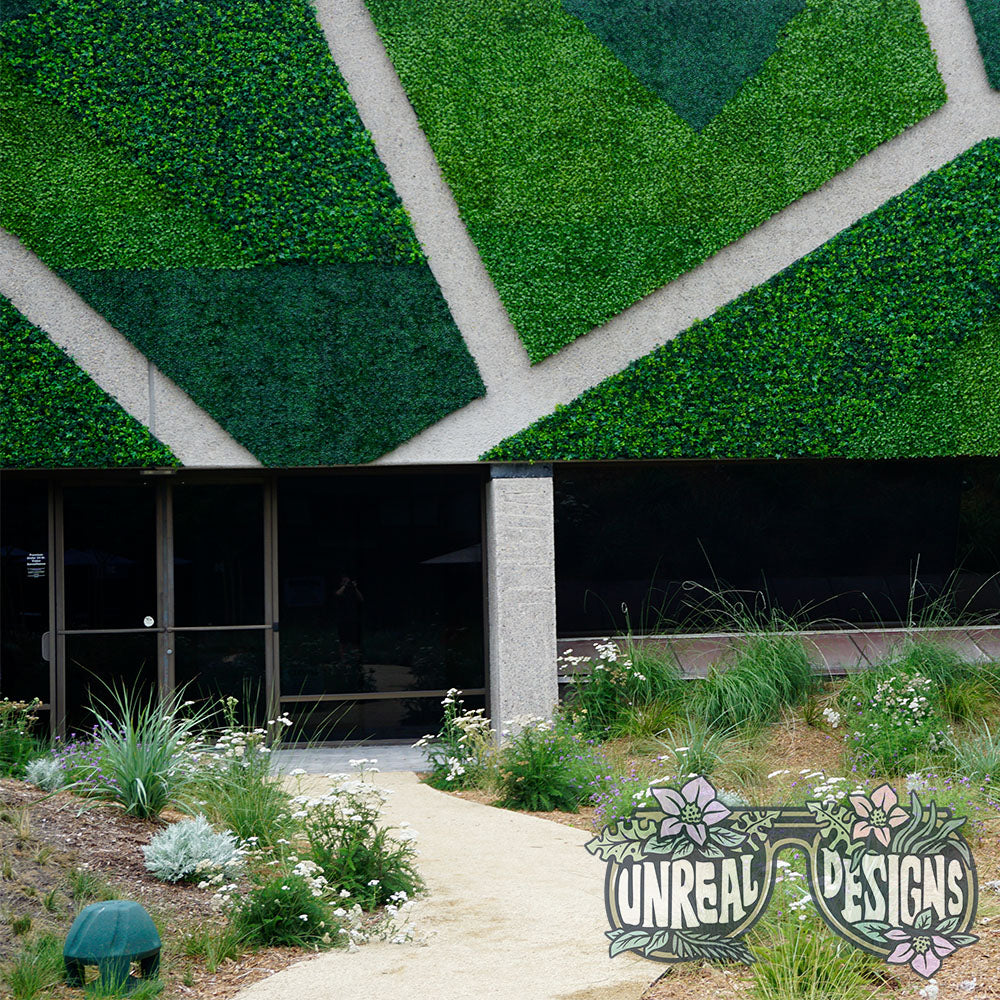 Ways Living Plant Walls Are Damaging Your Building