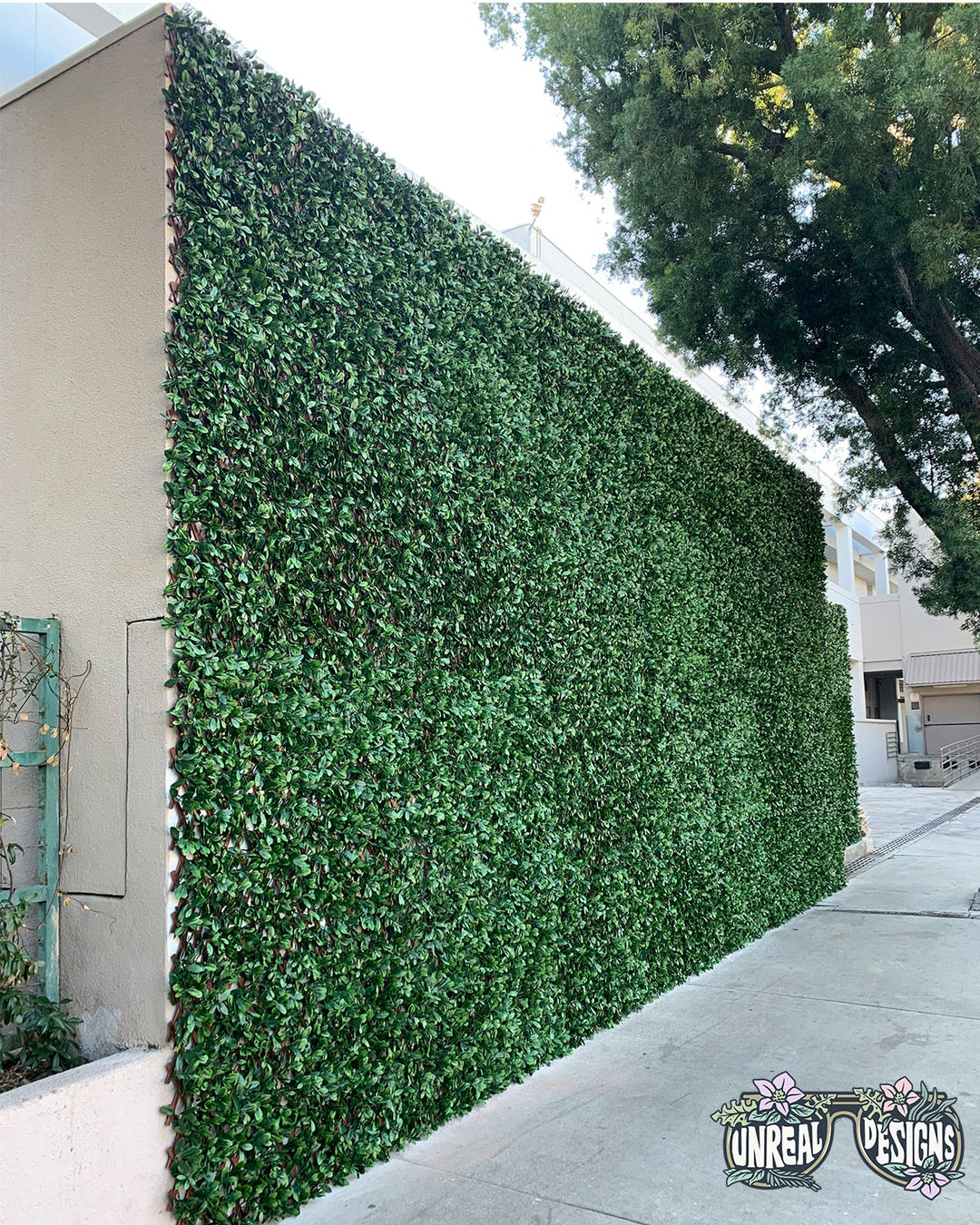 fake trellis plants Expandable Trellis